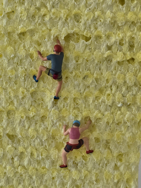2 Climbers on a Sponge Greeting Card